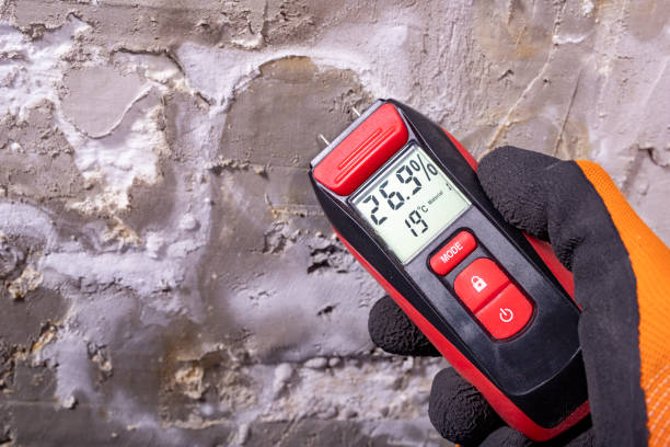Best Local Mold Removal Service  in Ivey, GA