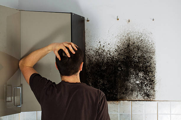 Best Office Mold Removal Services  in Ivey, GA